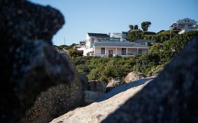 Bosky Dell On Boulders Beach